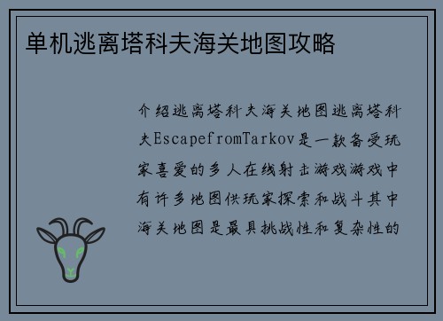 单机逃离塔科夫海关地图攻略